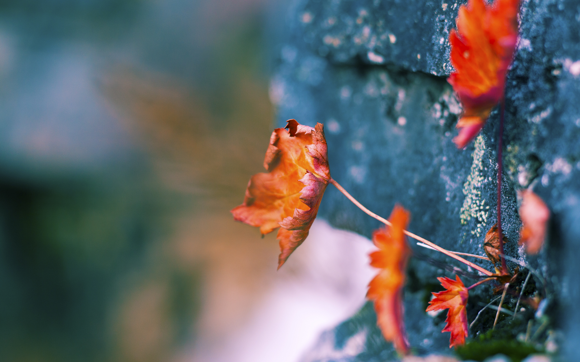 河床防守体系日益完善,河床如何防护