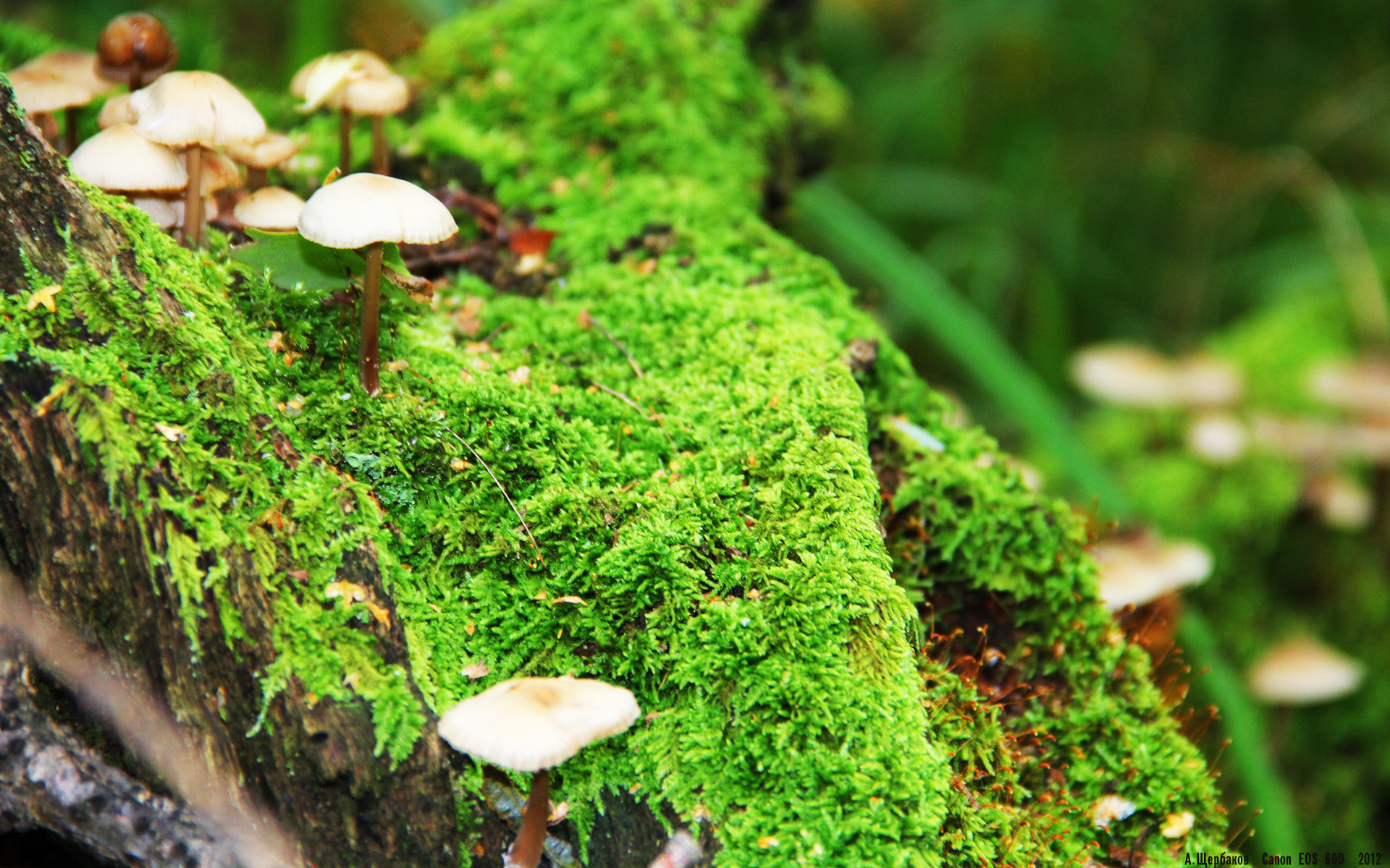 体育产业投资回报分析报告，投资体育事业的行业