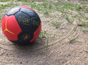 ayx-全国老年人健身球操赛展银发激情，老年健身球类