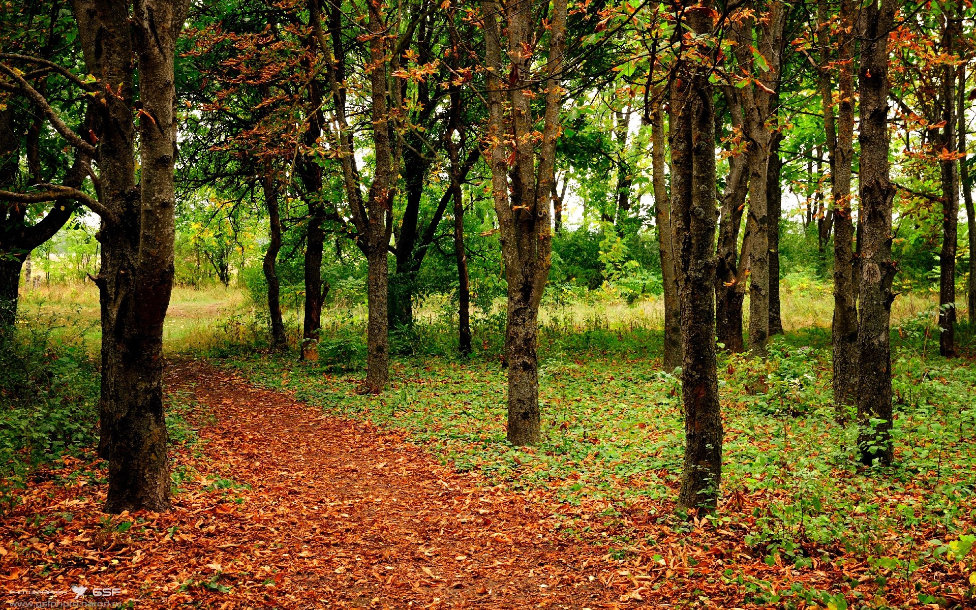 爱游戏平台-中国男子排球队在亚洲杯中力克强敌晋级四强，中国男子排球队队员名单
