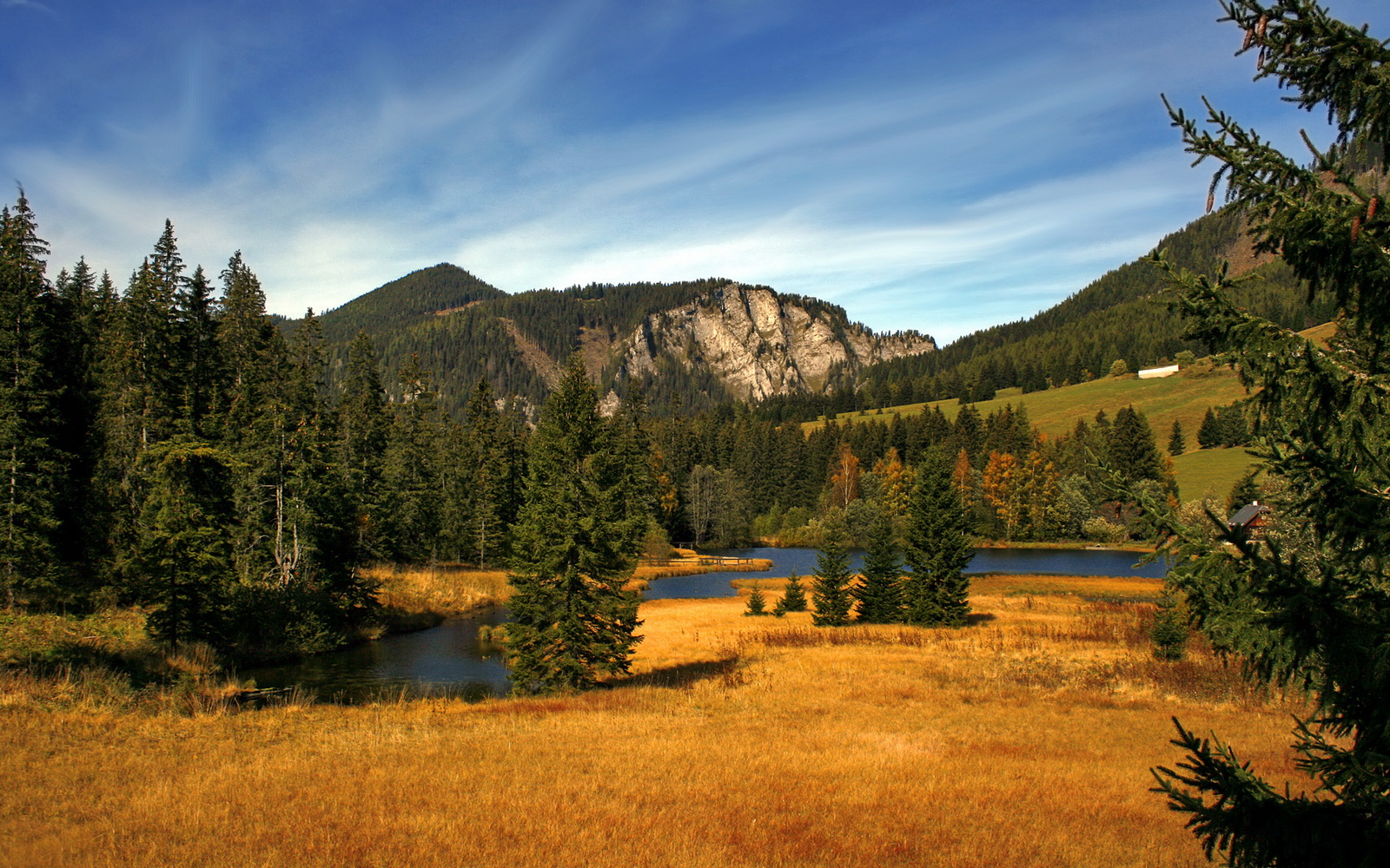 中国选手划频波动下降,节奏更均匀