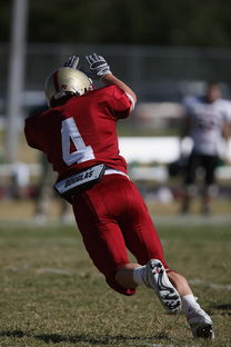 爱游戏APP-五大联赛争四阶段关键球员贡献值差异对比，五大联赛引援