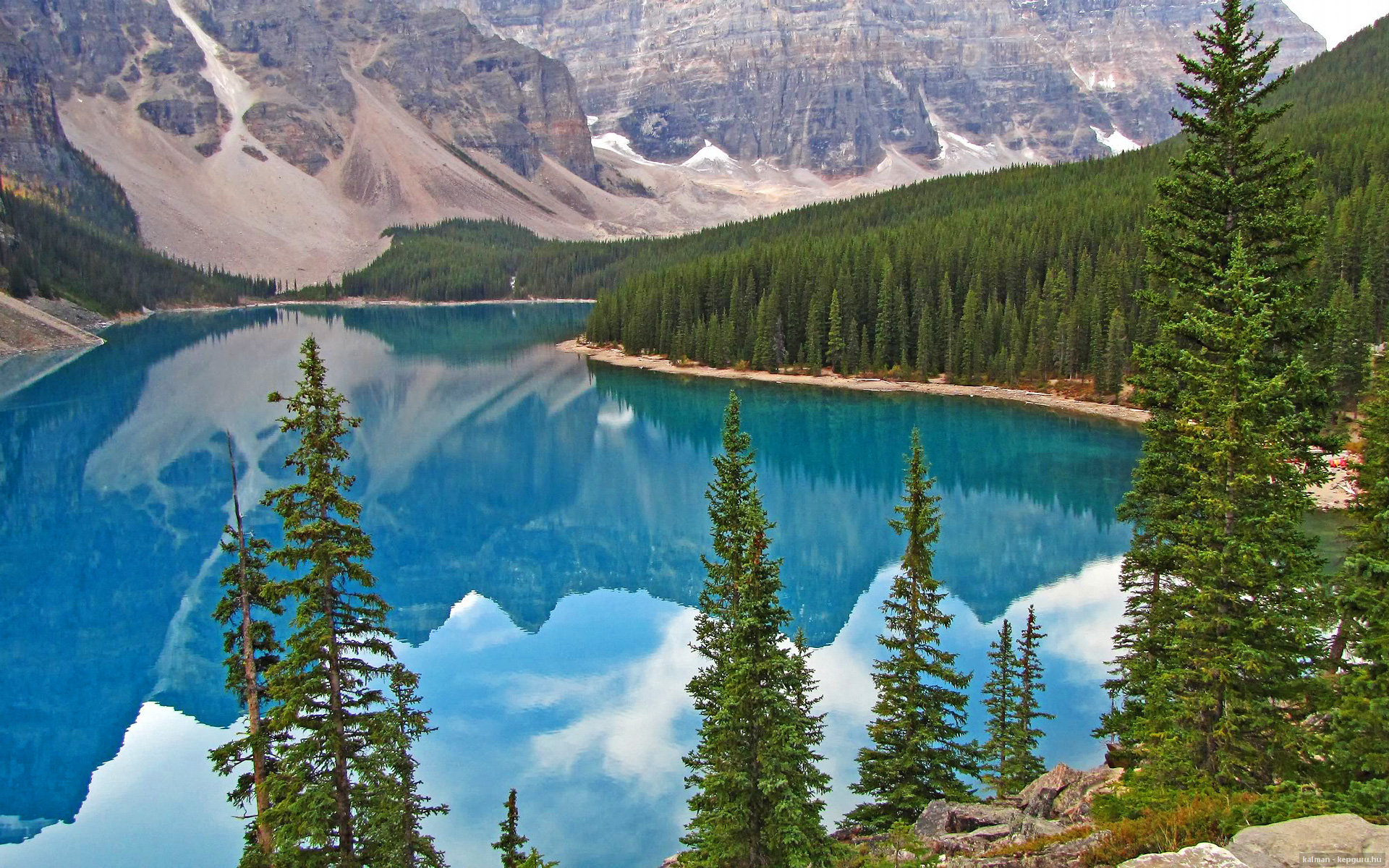 勒沃库森阵型切换提升战术弹性,勒沃库森主力阵容