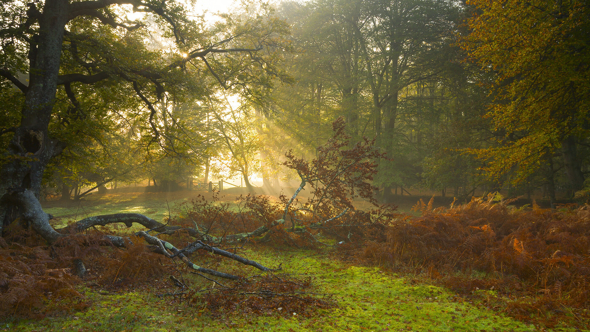 本土球员缺乏榜样激励机制,本土球员缺乏榜样激励机制是什么