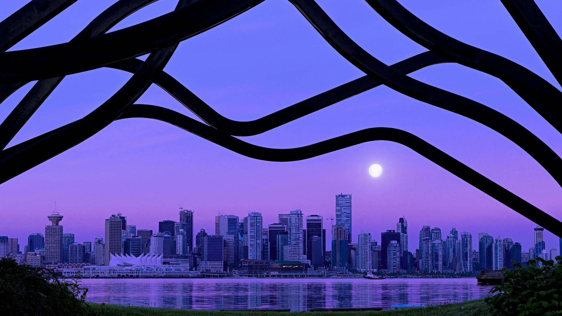 凯蒂·莱德基保持领先优势锁定冠军,凯蒂芬得莱