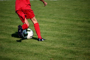 爱游戏-国脚待遇结构调整引导更多球员留在国内发展，国家队国脚