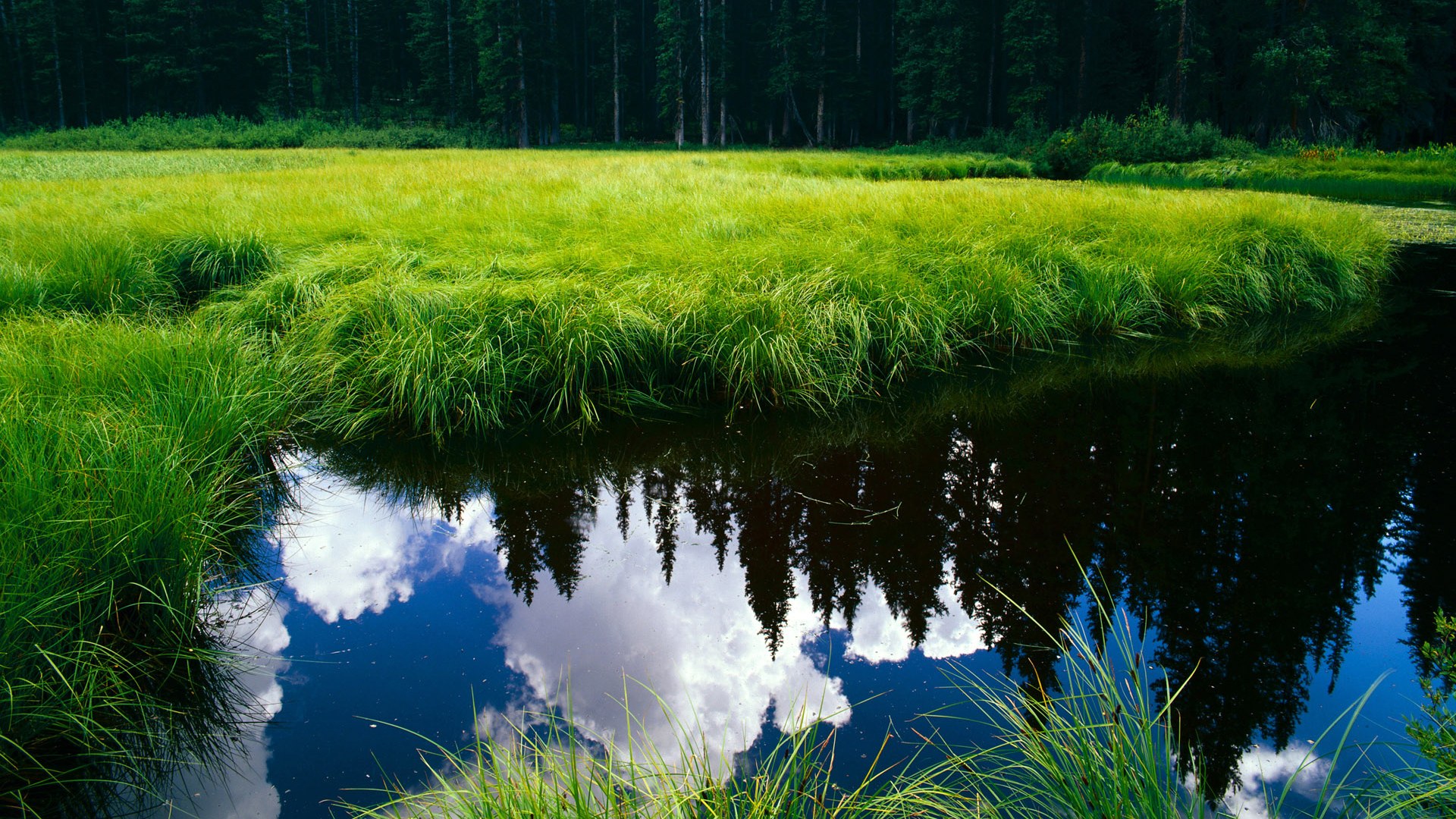 奇才关键失误葬送好局主帅表示遗憾,奇才是谁