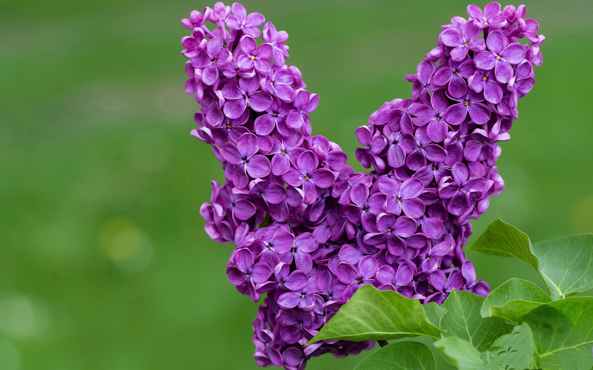 对关键对手拼搏表现凝聚团队士气,关键在队伍