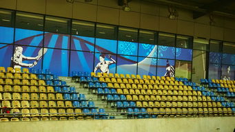 爱游戏娱乐平台-巴西青训体系持续投入，未来足球天才持续涌现