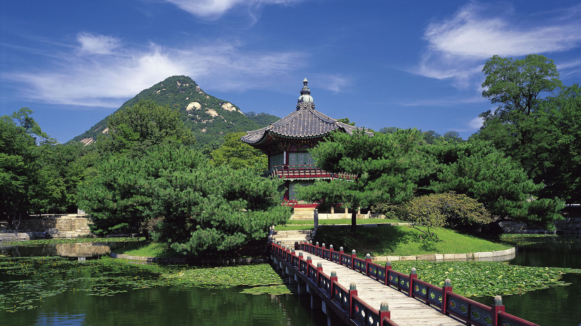 弗朗索瓦·斯图尔特:在关键比赛中展现非凡脚法,助力南非队取胜