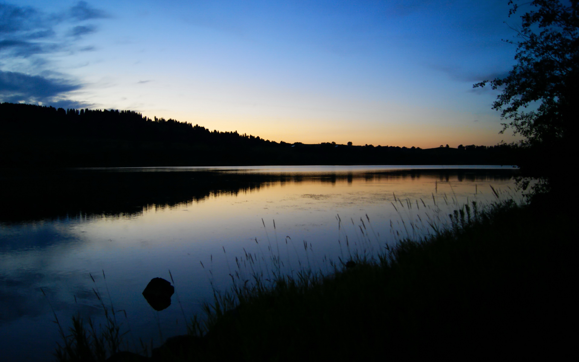 英超榜首大战:最终哨声前的精彩反击,英超son